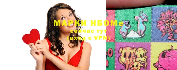 мет Инта