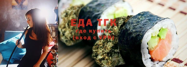мет Инта