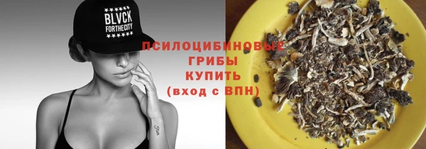 мет Инта