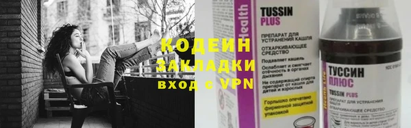 мет Инта